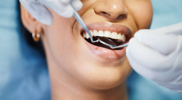 Best Dentist Open Late Near Me  in Holiday Shores, IL